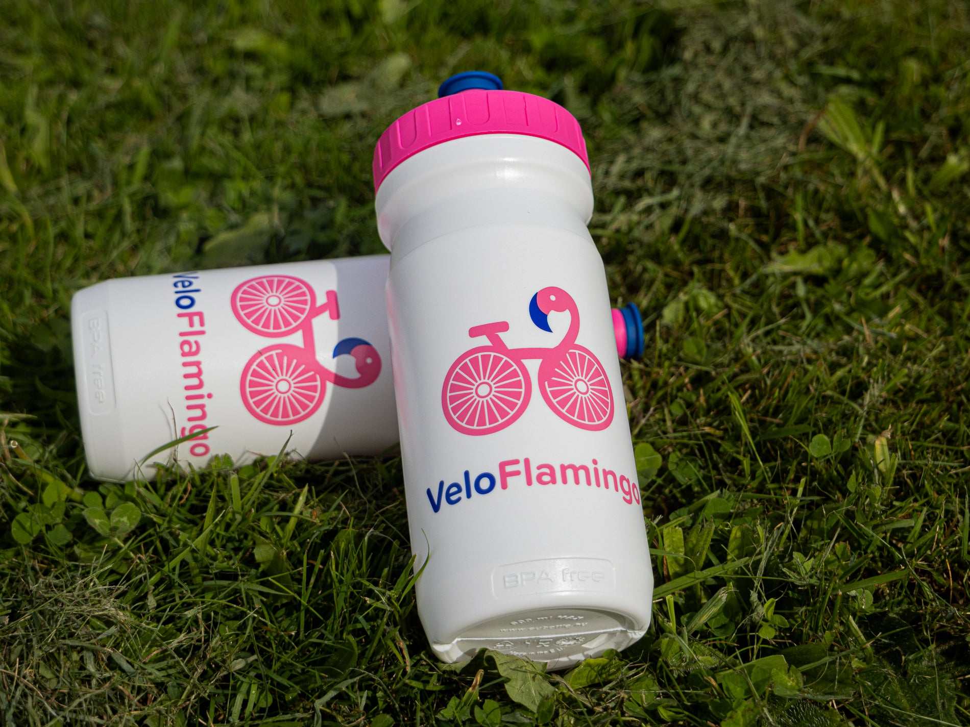 Bidon - VeloFlamingo Easy Clean BPA Free 600ml Bottle