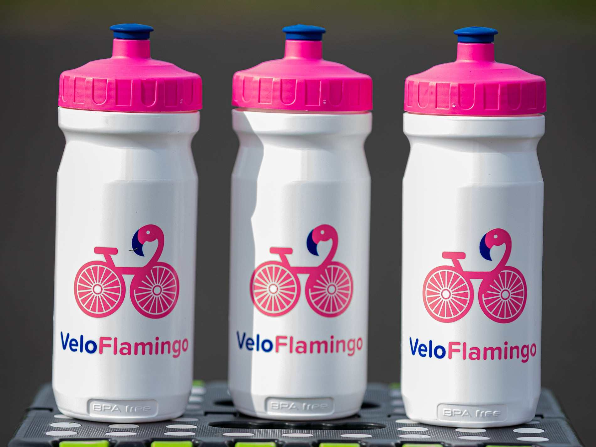 Bidon - VeloFlamingo Easy Clean BPA Free 600ml Bottle