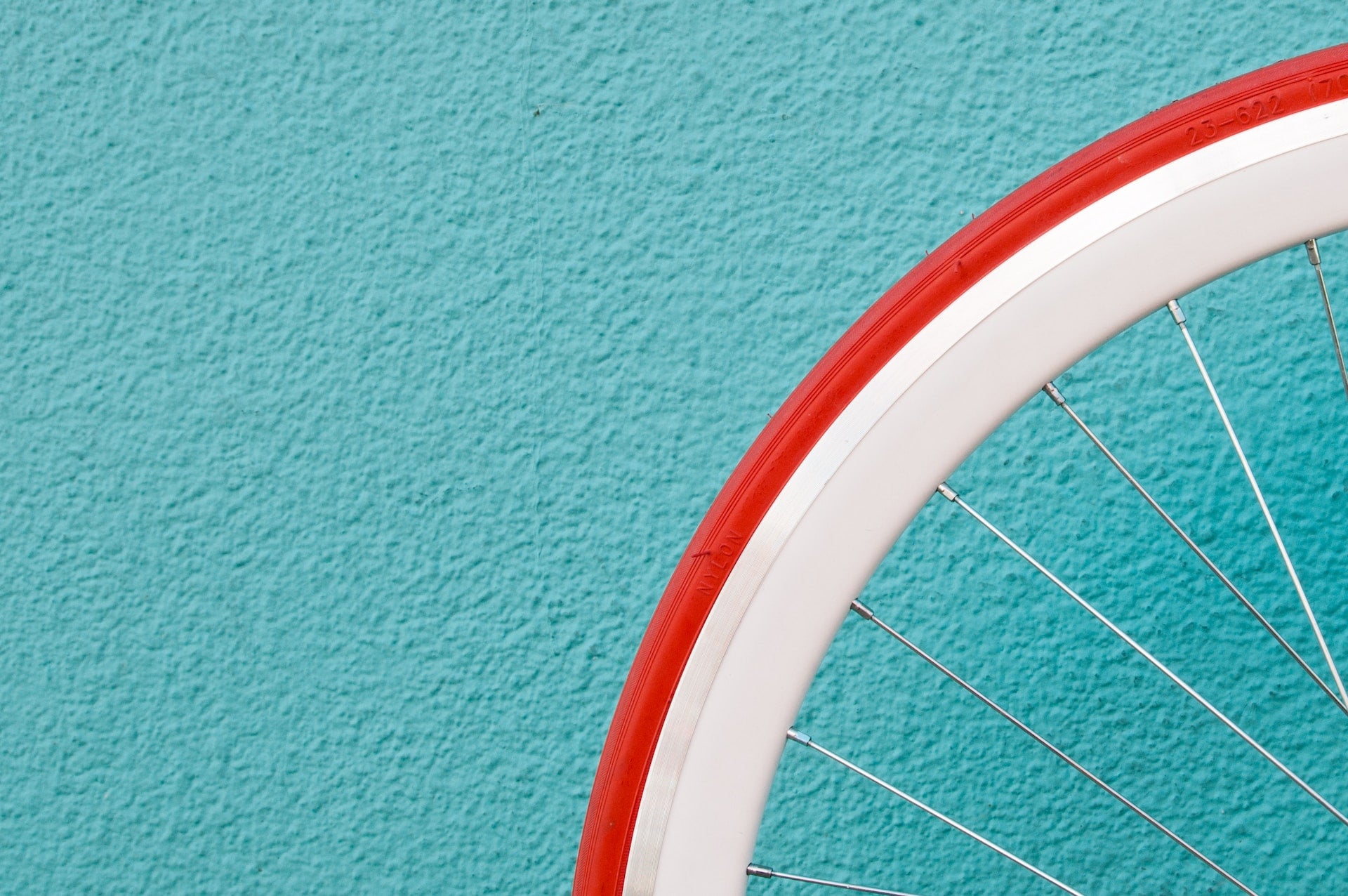 Pedal Power:  A Spin Through Cycling's Diverse Disciplines