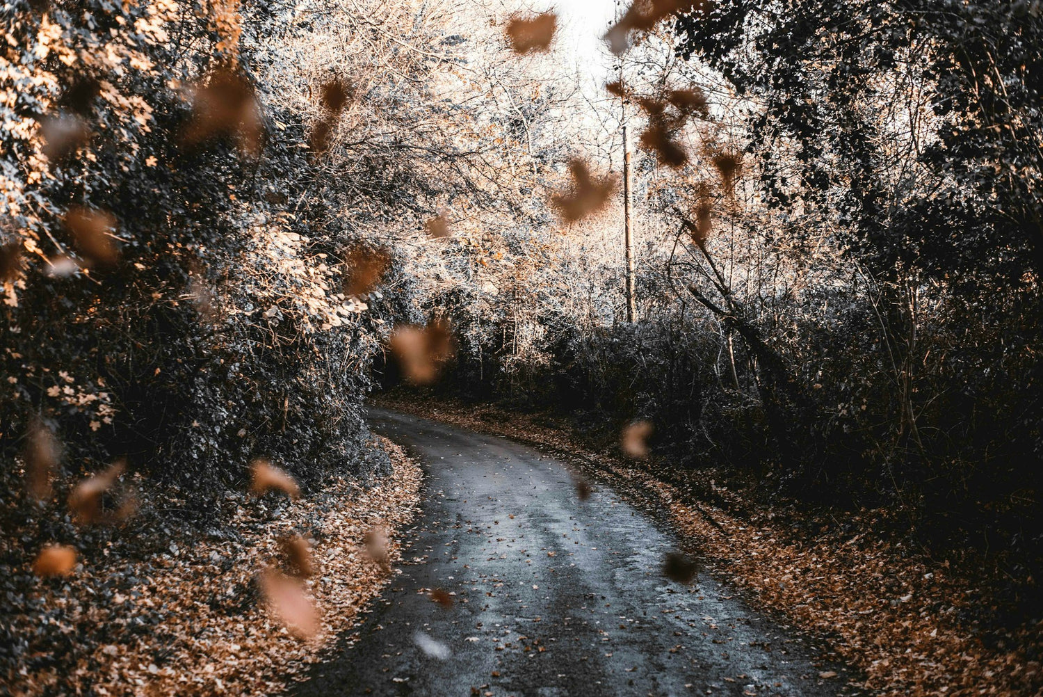 Get your bike Autumn + Winter ready