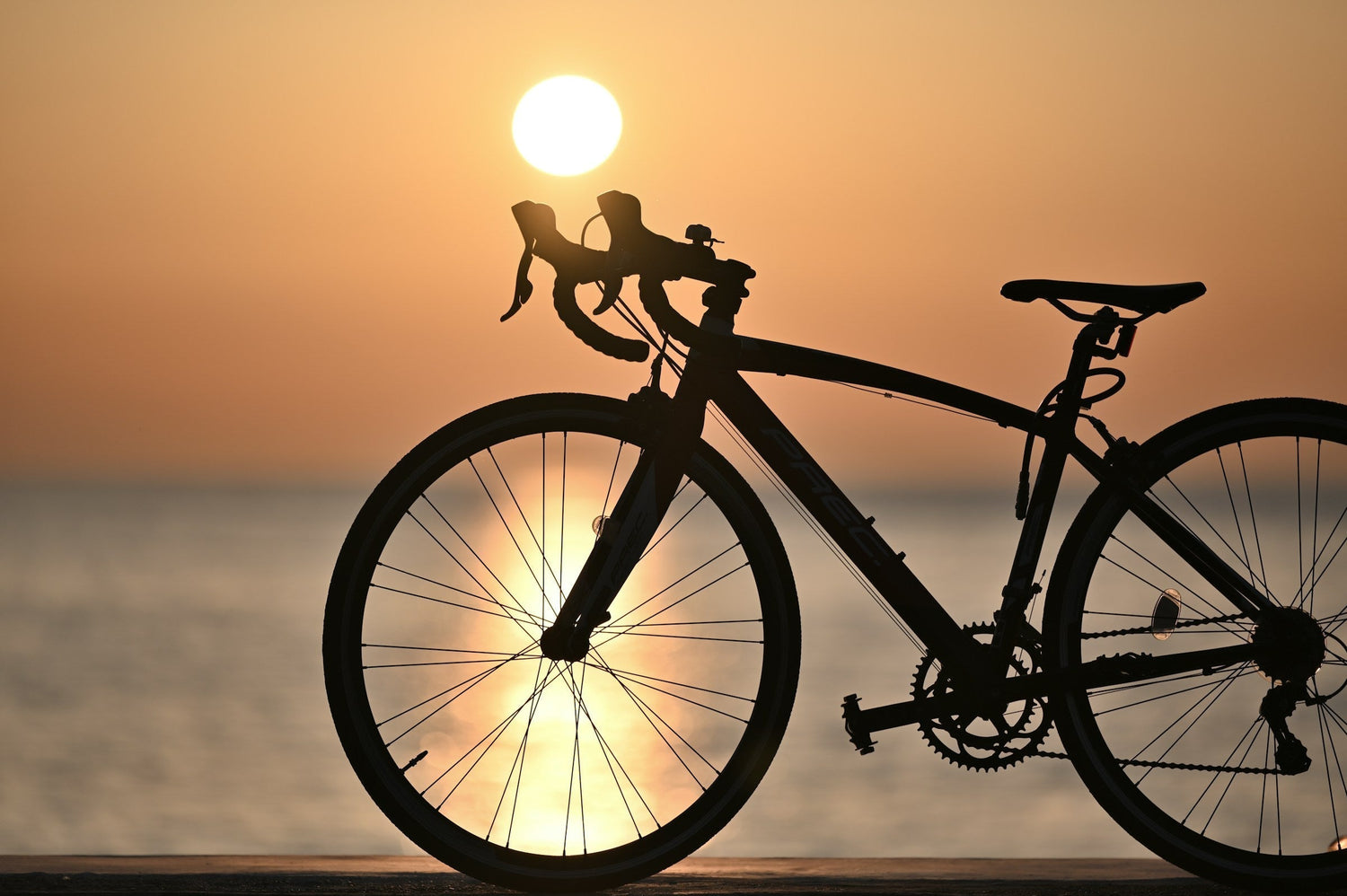 Conquer the Sportive: Your Ultimate Guide to Event Day Success and Beyond!